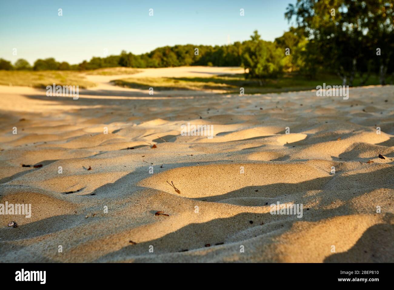 Le dune di sabbia nel santuario naturale Boberger Niederung. E' uno dei 35 santuari naturali della zona amministrativa di Amburgo. Foto Stock