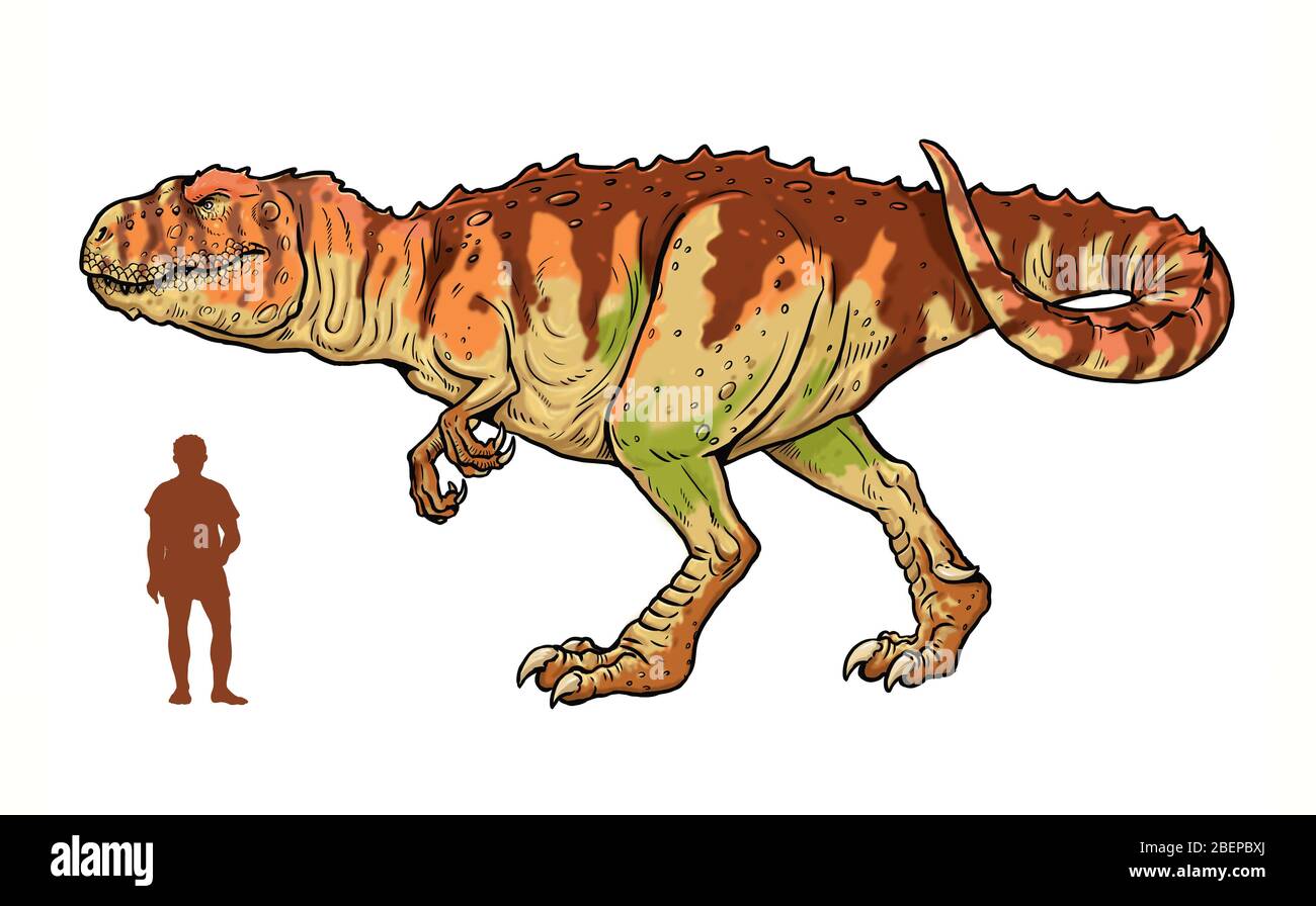 Dinosauro carnivoro - gigantosauro. Confronto tra dinosauro e umano. Pagina Dino Coloring. Foto Stock