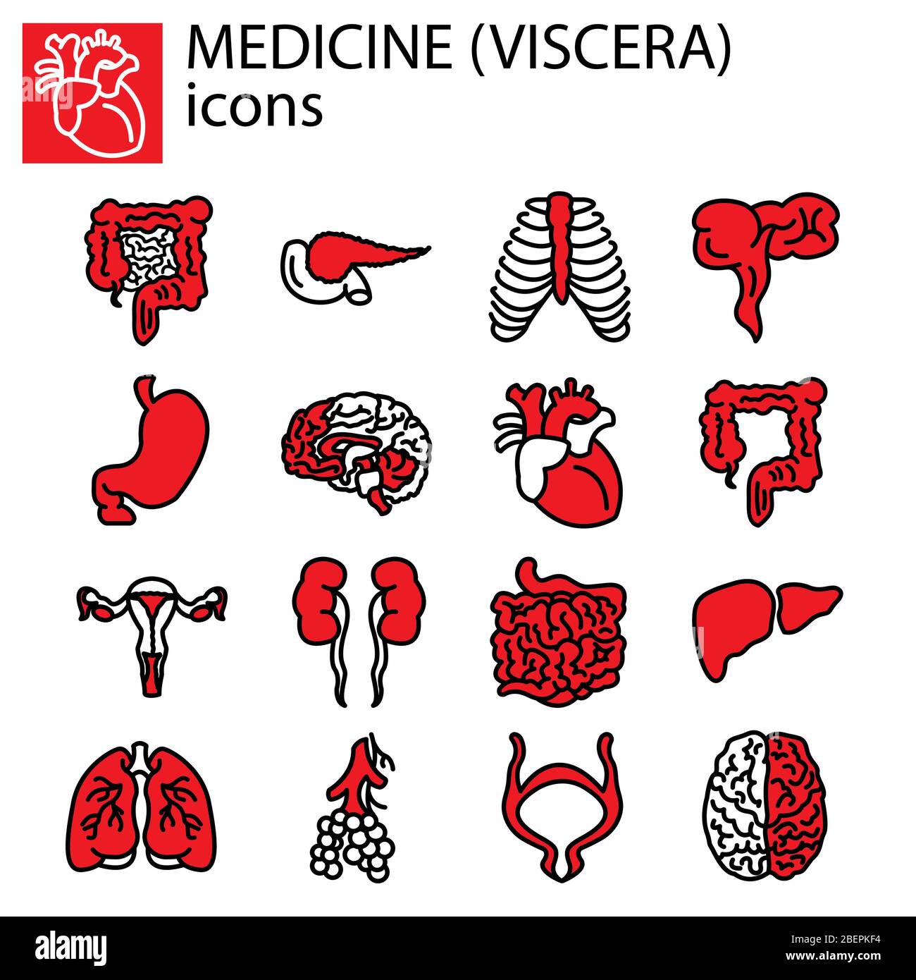 Linea Web impostata. Medicina, viscera Illustrazione Vettoriale