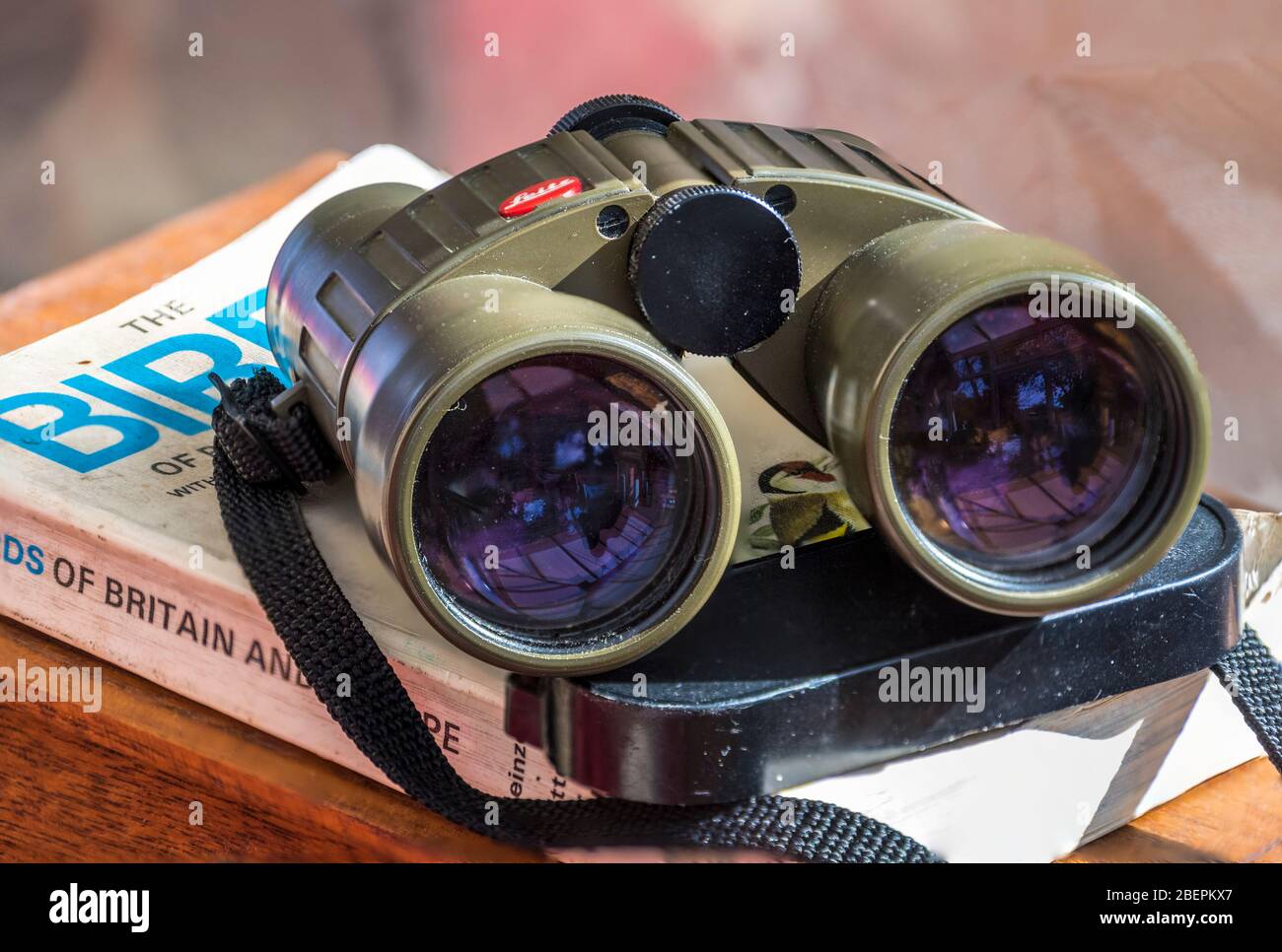 Binocoli di birdwatchers e libro di riferimento. Foto Stock