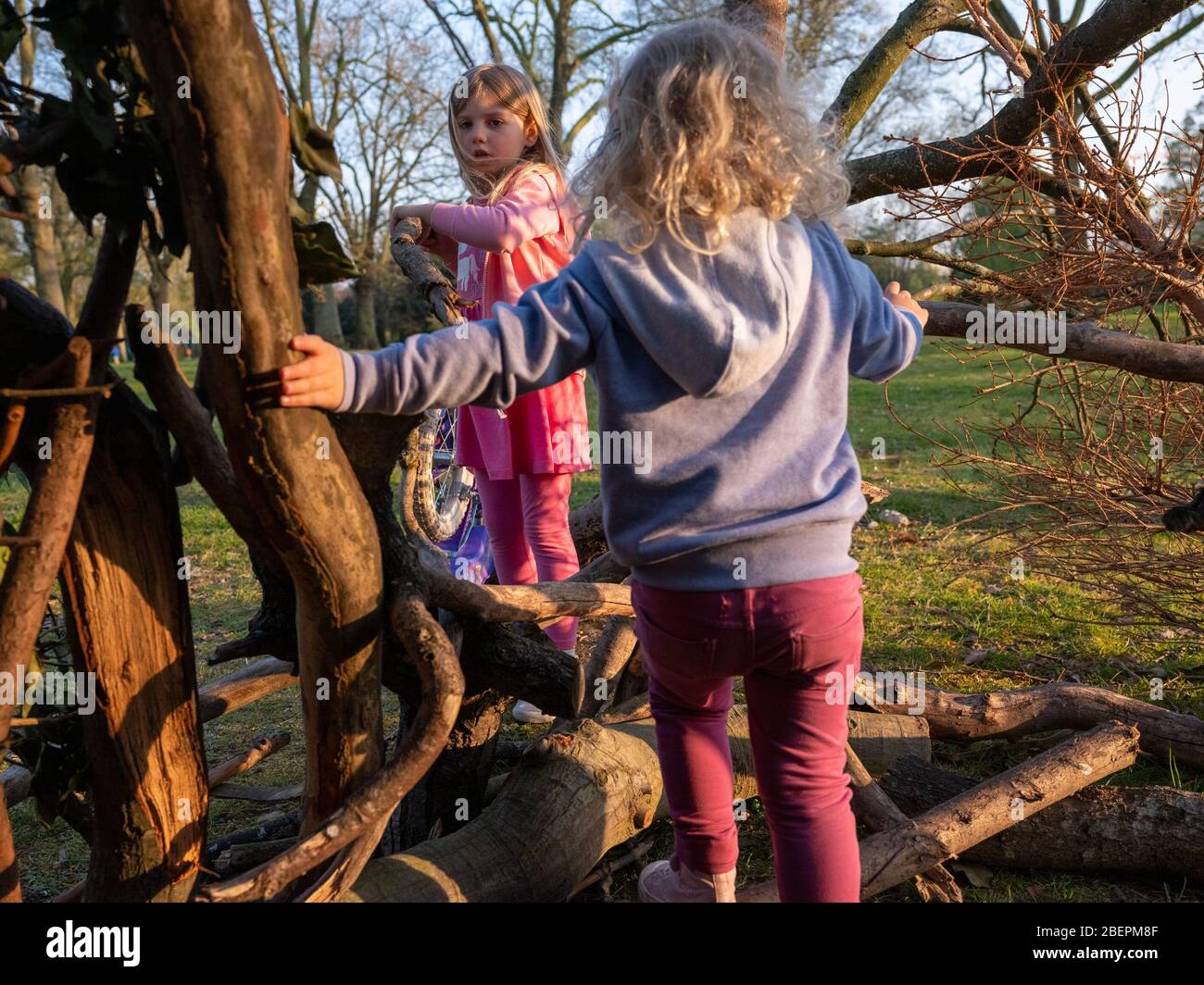 Due sorelle giocano in un parco da un albero che è stato fatto in un campo, con rami che racchiudono la zona di base. Le ragazze sono 2 (quasi 3) e 4. Foto Stock