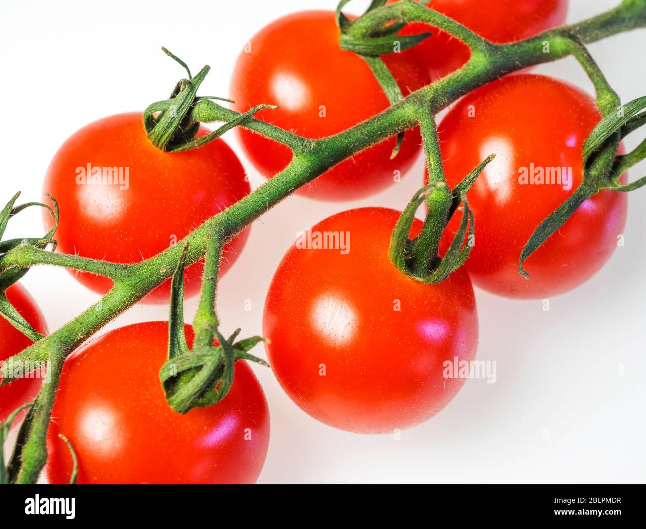 Pomodori ciliegini Vittoria sulla vite su sfondo bianco Foto Stock
