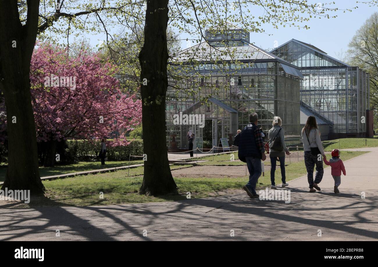 Il Parco Botanico del Popolo Blankenfelde-Pankow di Berlino, del 22 aprile 2019, offre opere d'arte edilizie e da giardino d'interesse storico fin dall'inizio del XX secolo su una superficie di 34 ettari. Il parco fu fondato nel 1909 come giardino scolastico e centro giardino per la città di Berlino. Numerose serre furono costruite fino al 1928/29, e già nel 1915 circa 1,000 metri quadrati erano sotto vetro. Qui venivano utilizzate le piante di sanguinamenti e ornamentali per le amministrazioni del giardino e del cimitero di diversi distretti e per il municipio e il municipio. Foto: Peter Zimmermann | utilizzo nel mondo Foto Stock