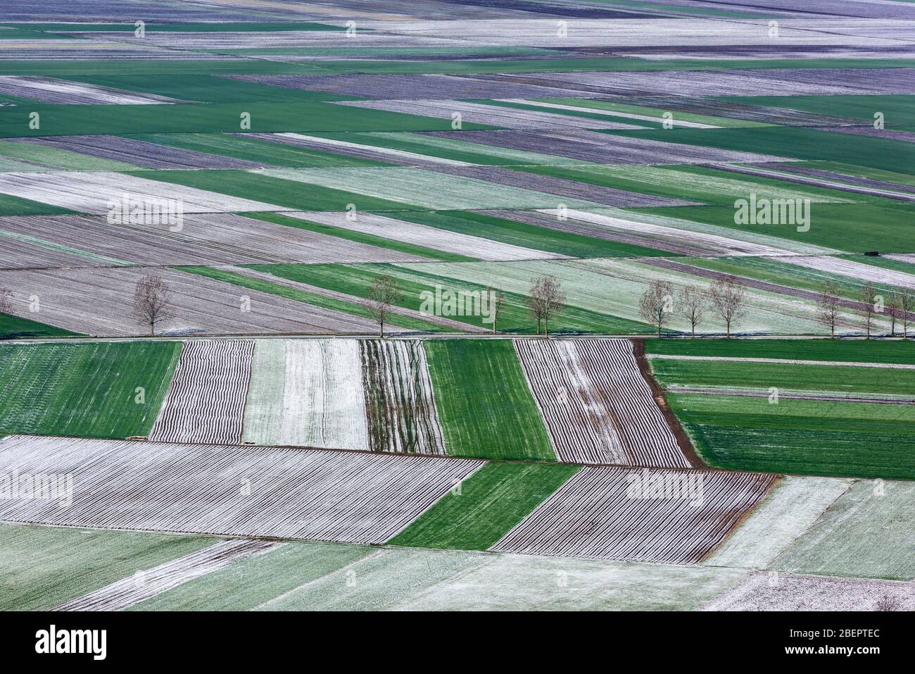 Vista panoramica dei campi e del settore agricolo. Viste aeree. Foto Stock