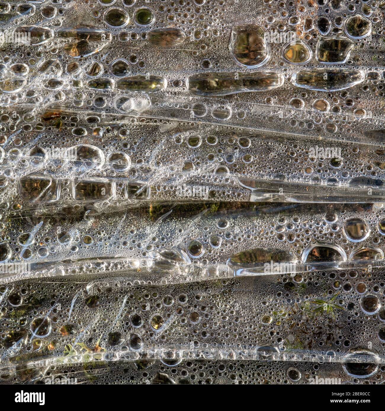Immagine astratta delle goccioline di condensa dietro la pellicola di plastica Foto Stock