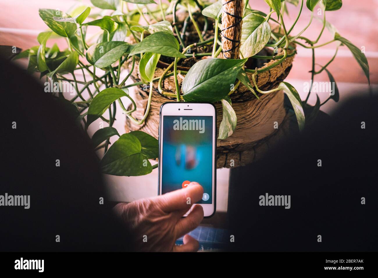 Videoconferenza con la famiglia con il telefono cellulare per parlare e ridere. Foto Stock