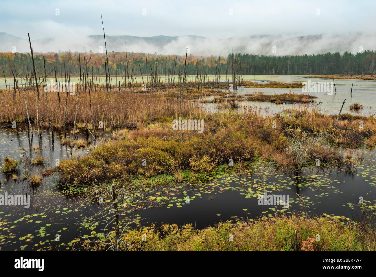 Autunno sullo Shaw Pond, Long Lake, Hamilton County, NY Foto Stock