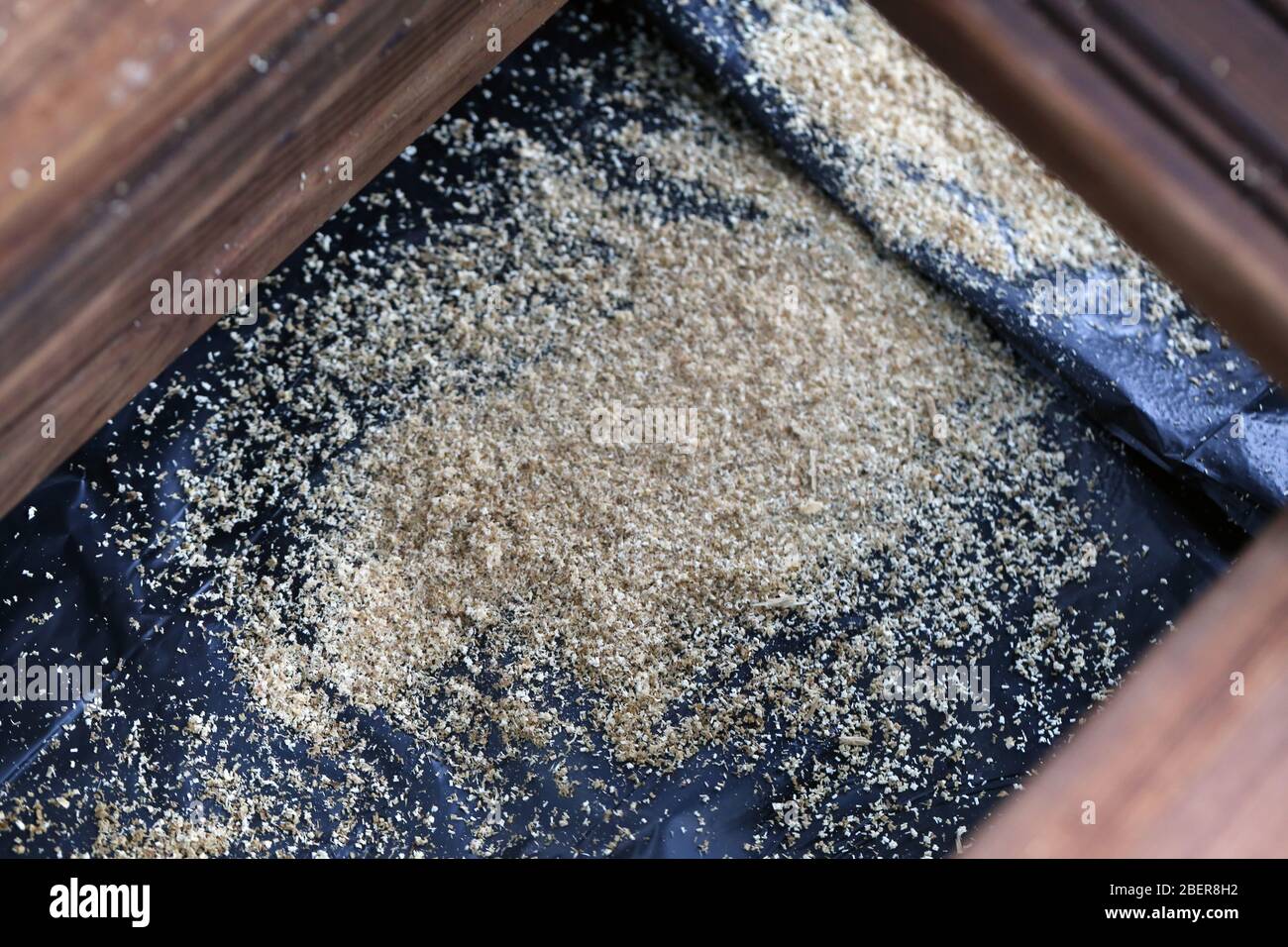 Fai da te costruzione di un portico / balcone pavimento con tavole di legno marrone in Espoo, Finlandia, primavera, 2020. In questa foto potete vedere il piano in corso. Foto Stock