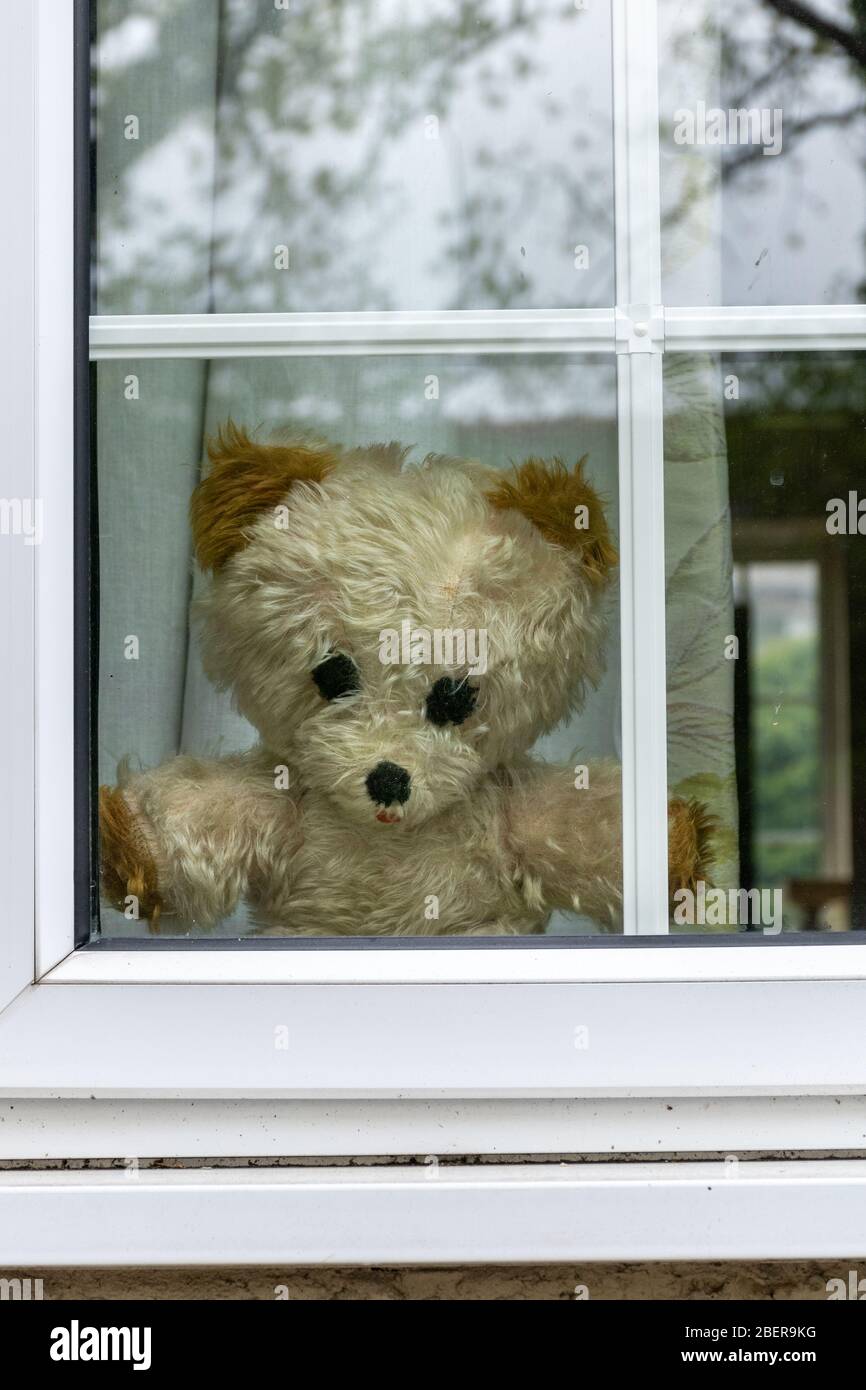 Per tenere i bambini divertito durante il covid-19 pandemic persone stanno mostrando orsacchiotti in finestre in modo che le famiglie possono andare a caccia di orsi, Regno Unito, 2020 Foto Stock