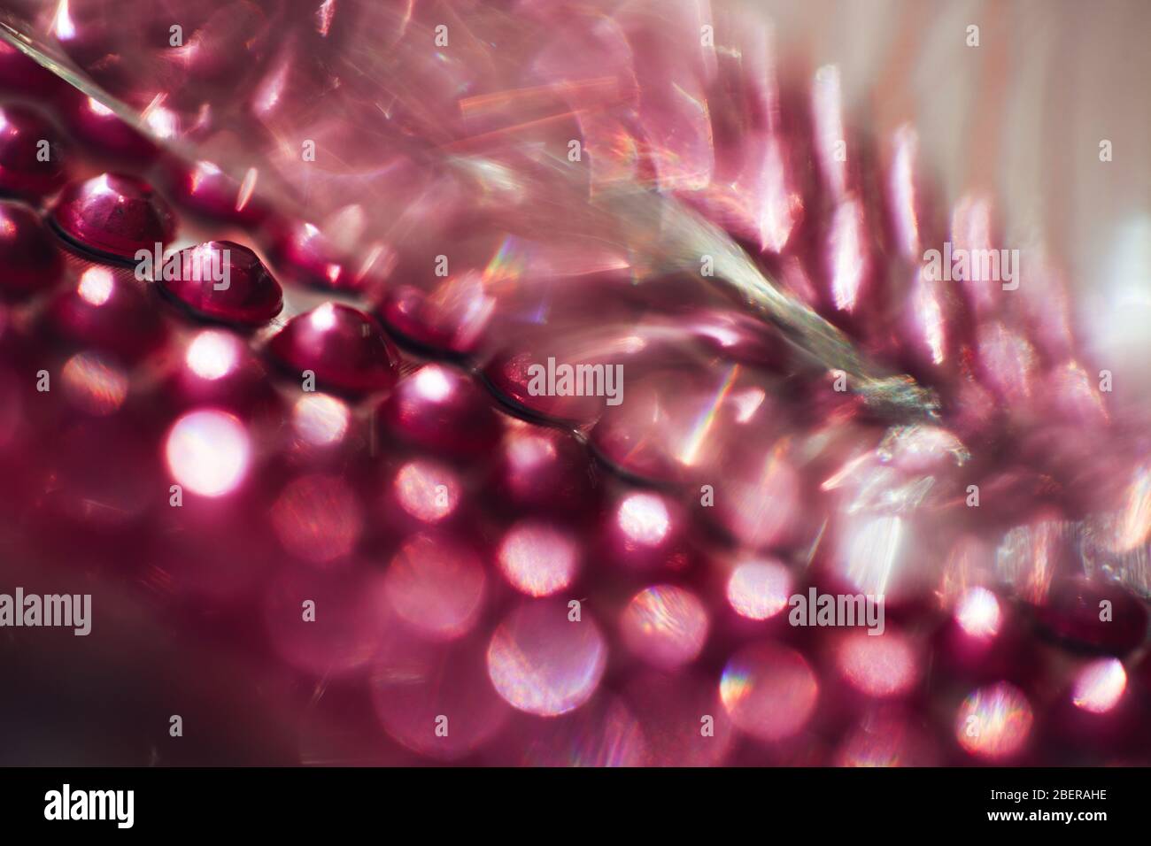 Perdite di luce rosa Foto Stock