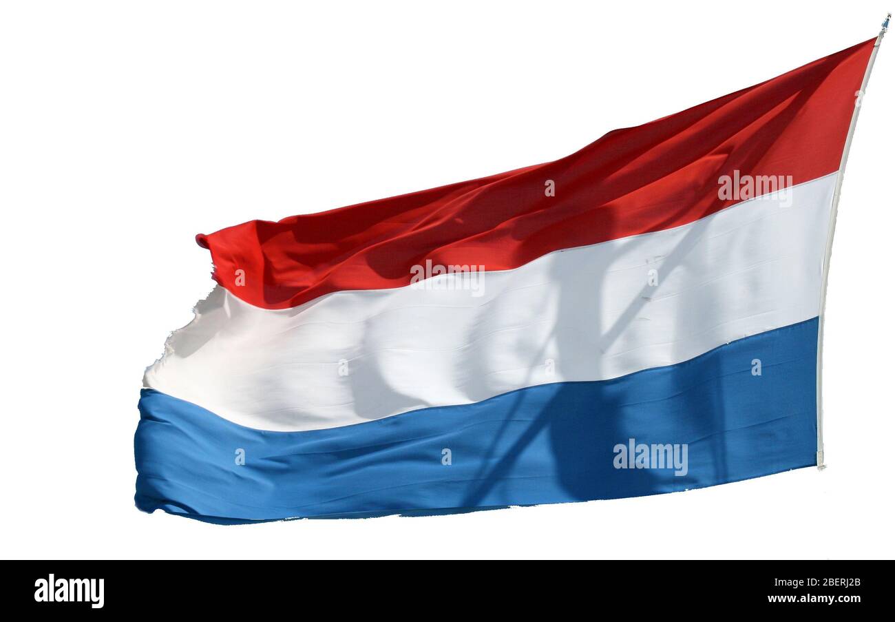 Bandiera dei Paesi Bassi con sfondo bianco Flagge der Niederlande vor einem weißen Hintergrund Foto Stock