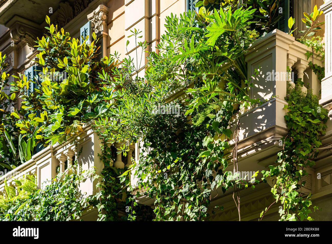 Facciata Vintage edificio architettura con un sacco di vegetazione verde overgrown nella città di Barcellona, Spagna Foto Stock
