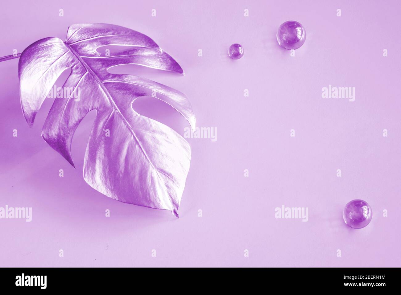 Foglia di monstera rosa su sfondo neon. Design alla moda. Minimalismo pastello. Primo piano dello spazio di copia. Decor tropicale per un design moderno. Foto Stock