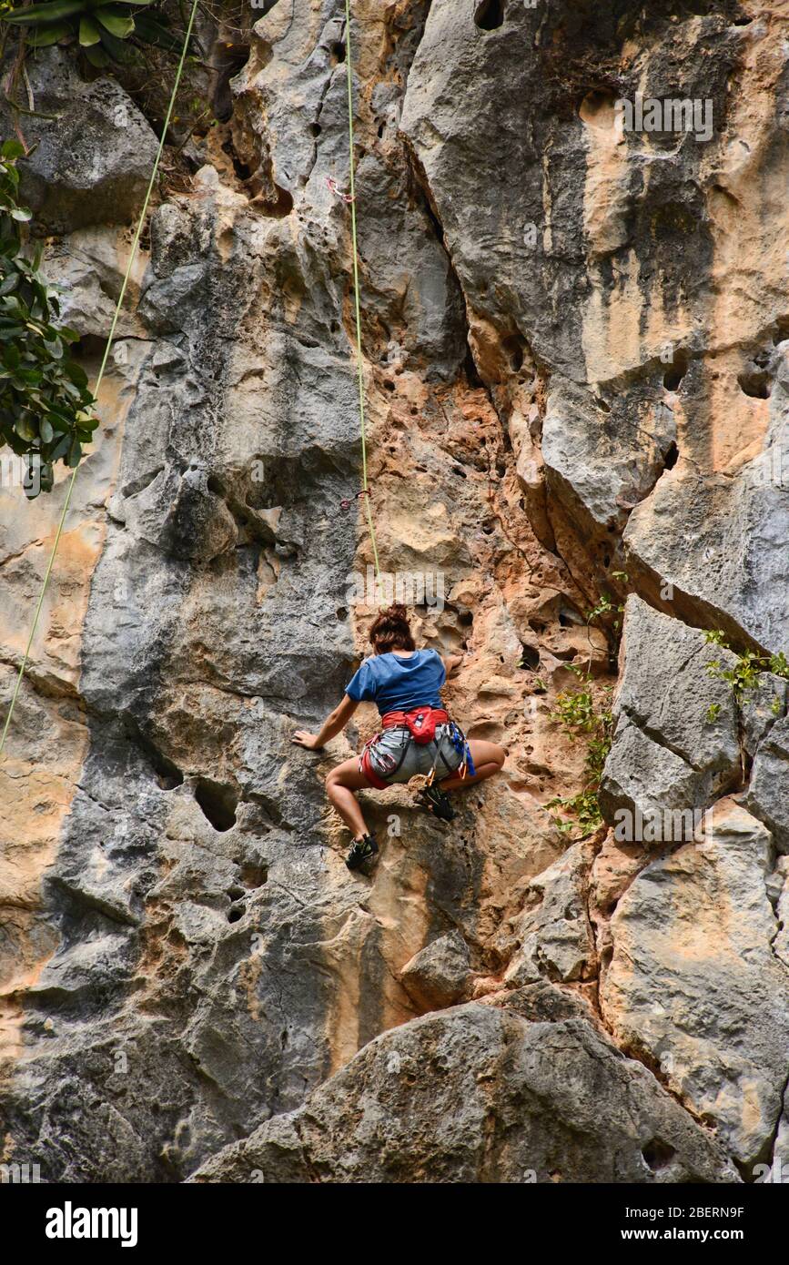 Arrampicata nella Valle Viñales, Cuba Foto Stock