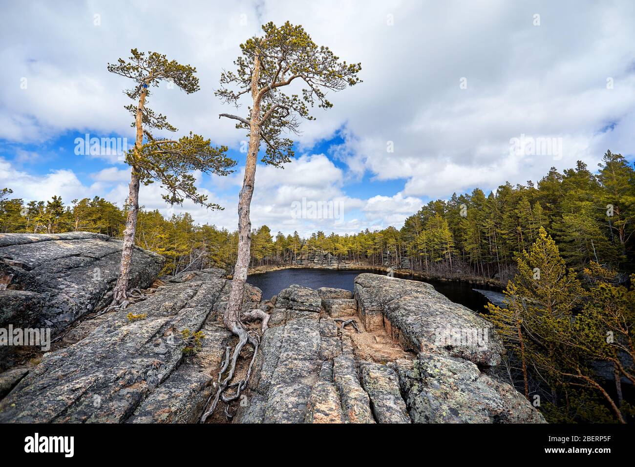 Bella vista dei pini al Lago Saytankol nella foresta di Karkaraly parco nazionale in Kazakistan centrale Foto Stock