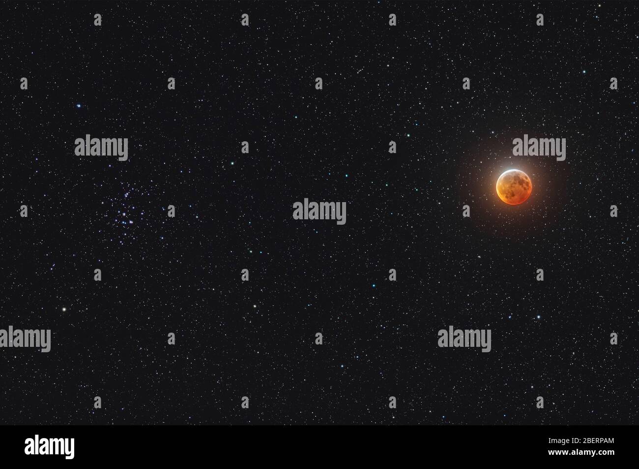La luna eclissata accanto al gruppo di stelle Beehive. Foto Stock