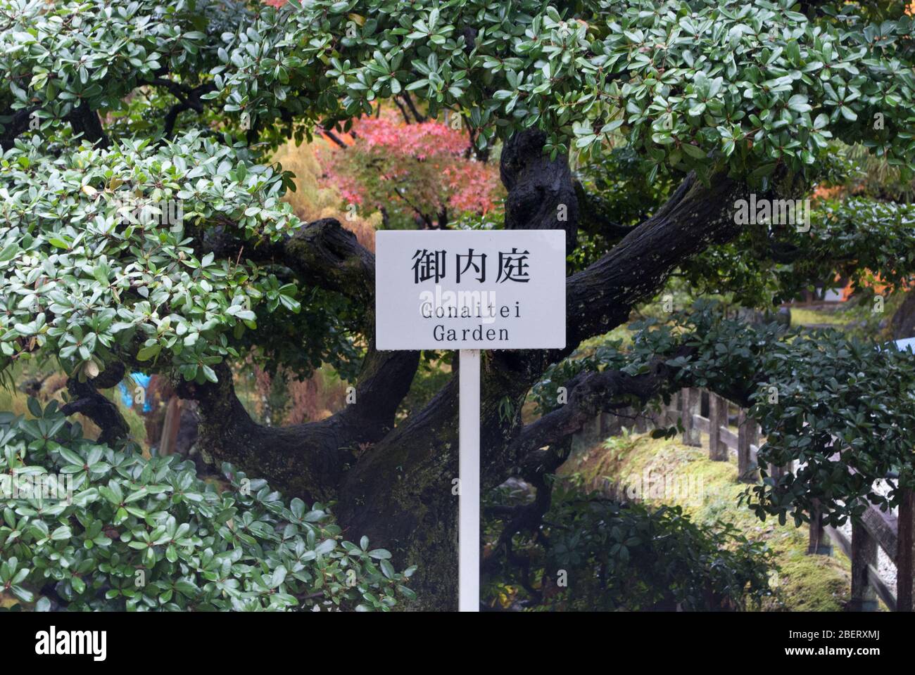 Palazzo Imperiale di Kyoto, 3 Kyotogyoen, Kamigyo Ward, Kyoto, 602-0881, Giappone Foto Stock