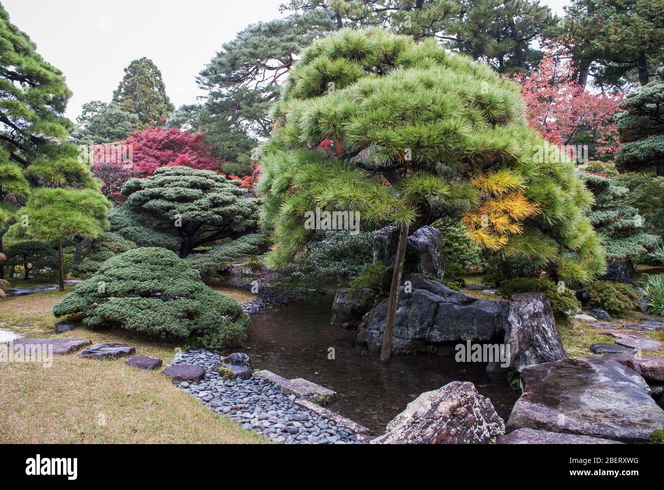 Palazzo Imperiale di Kyoto, 3 Kyotogyoen, Kamigyo Ward, Kyoto, 602-0881, Giappone Foto Stock