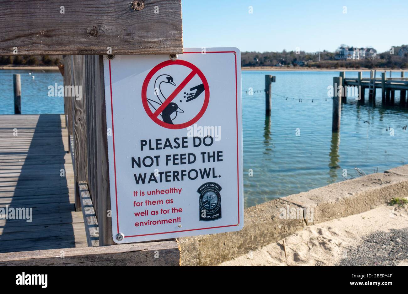 Si prega di non alimentare il cartello Waterfowl al Megansett Harbour, Falmouth, Cape Cod, Massachusetts USA Foto Stock