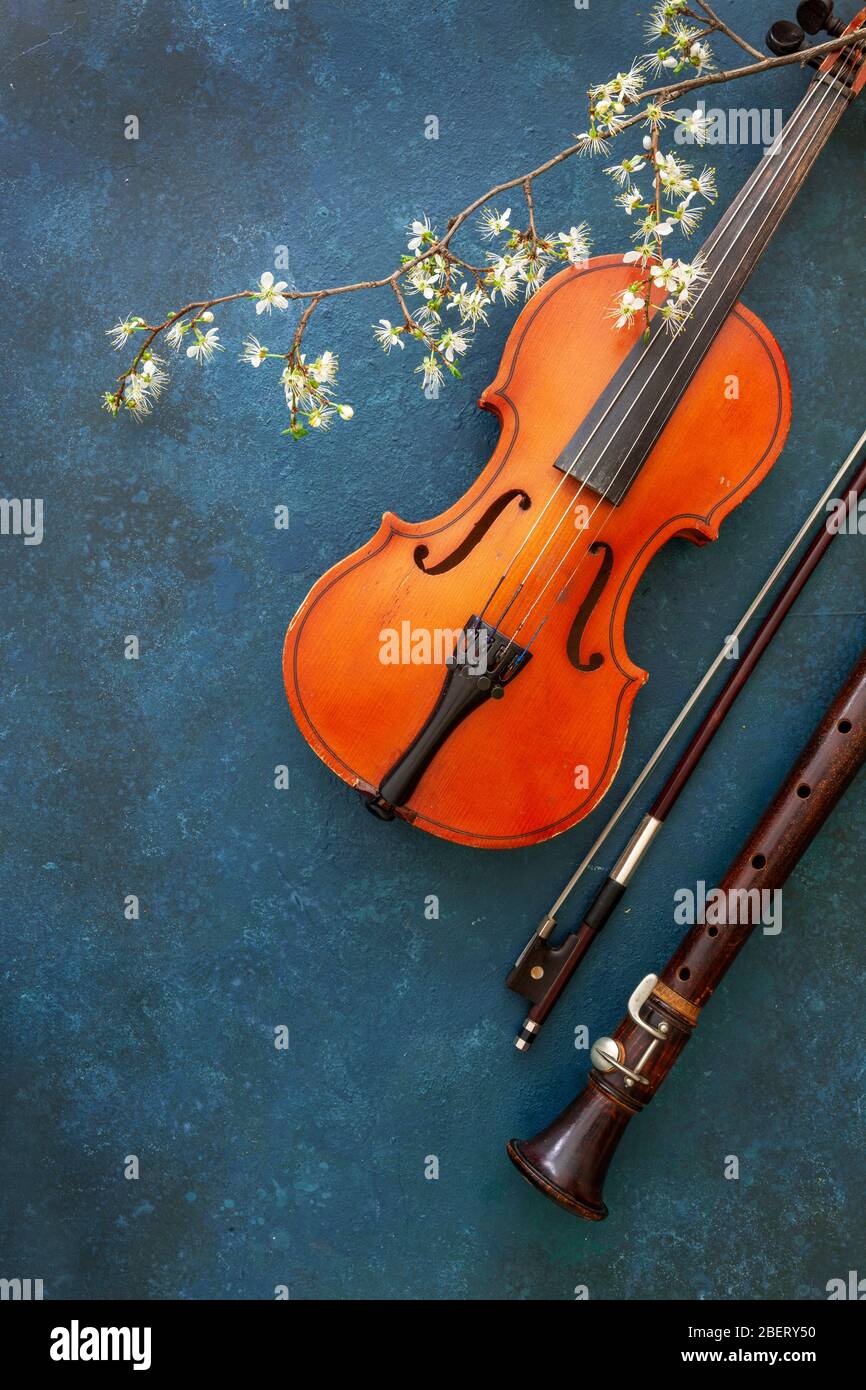 Violino, fiocco e flauto su fondo blu pantone 2020 con un ramo di ciliegia fiorente Foto Stock