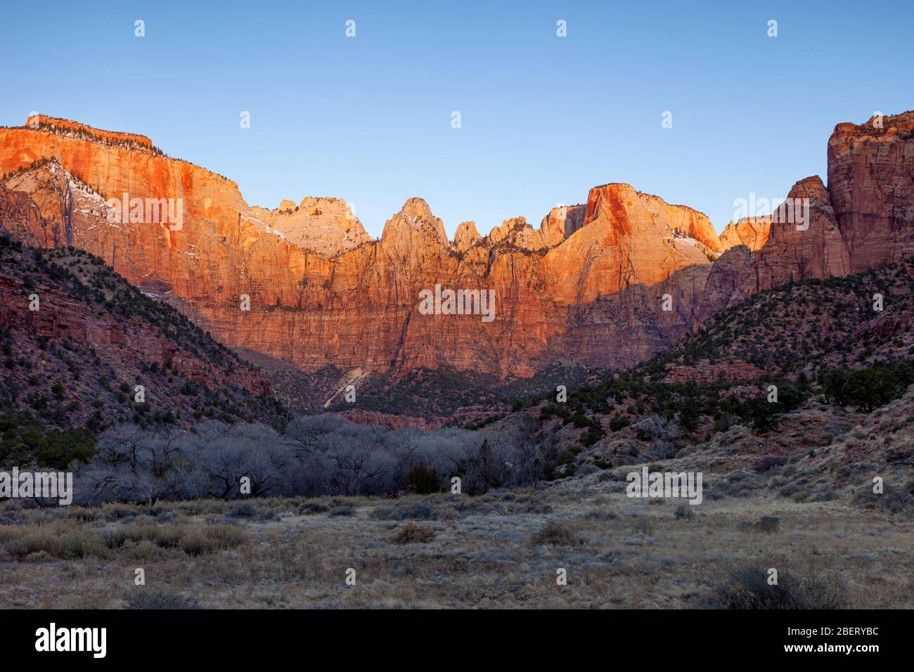 Prima luce dell'alba sul Tempio Ovest e le Torri della Vergine, Zion National Park, Utah, USA Foto Stock