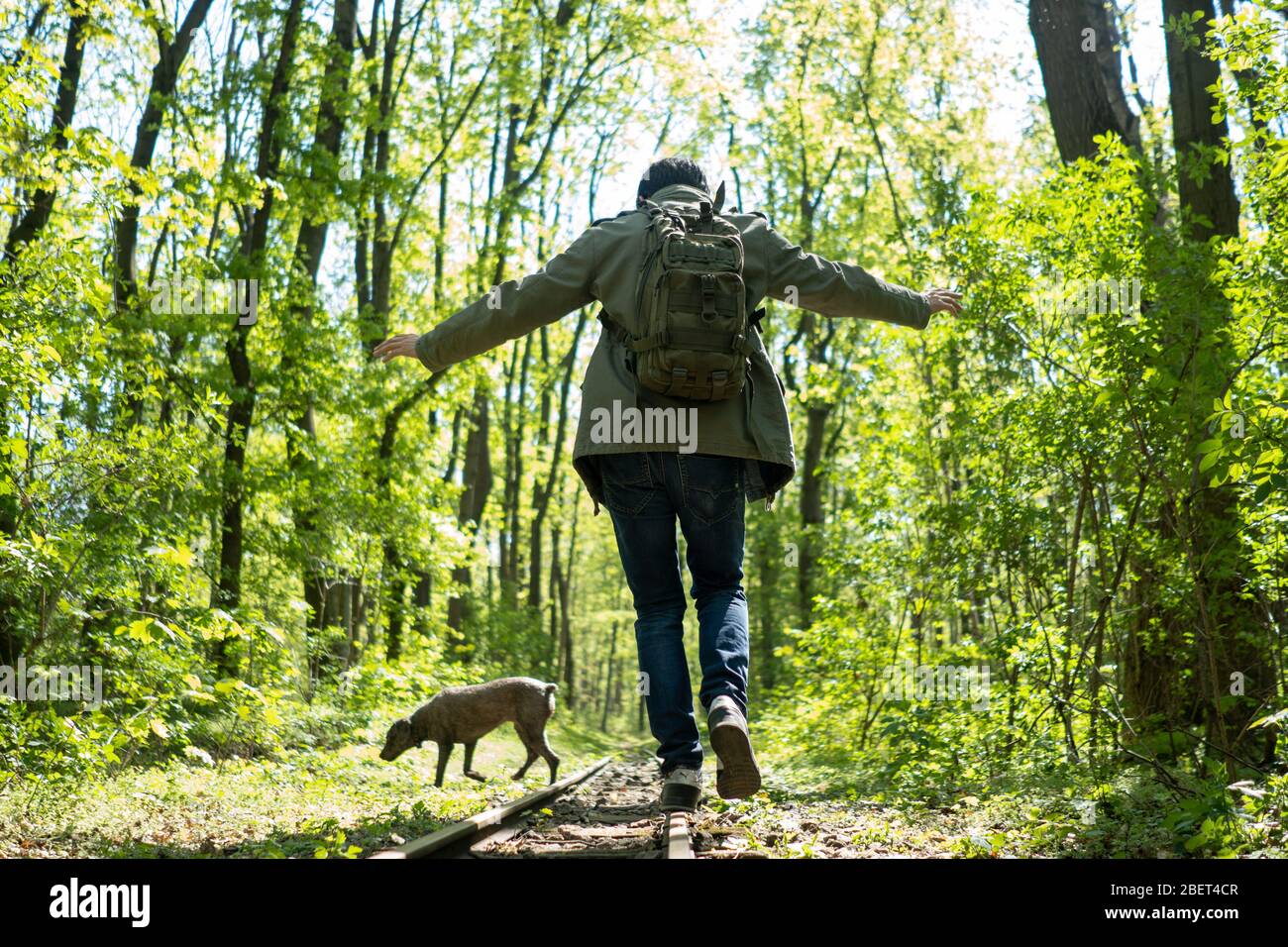 Un uomo che gioca sulla ferrovia mentre cammina il suo cane nel mezzo della foresta. Prater. Vienna Foto Stock