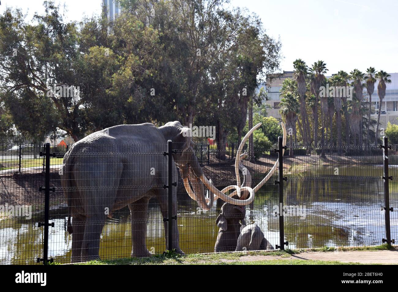 LOS ANGELES, CA/USA - 20 SETTEMBRE 2018: Sculture di fauna selvatica nella fossa di catrame a la Brea Tar Pits. Foto Stock