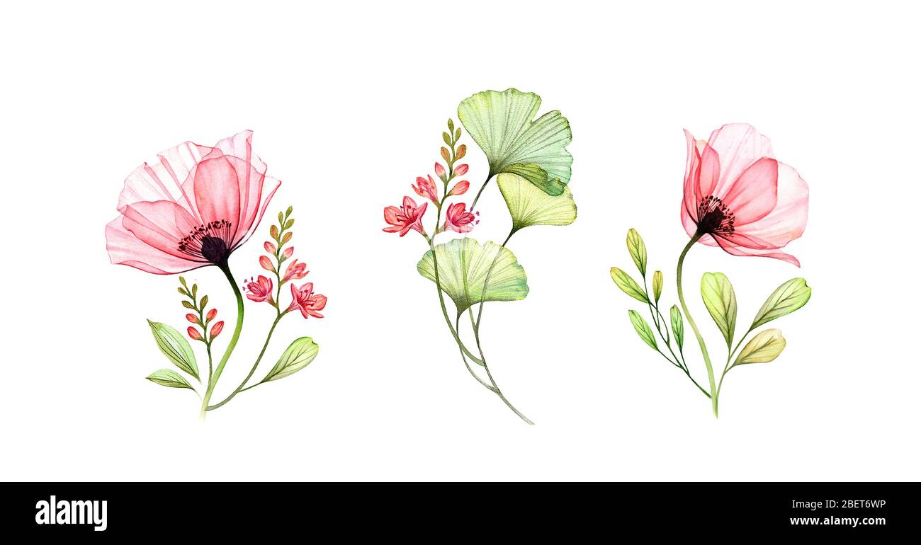 Acquerello Popy set floreale. Collezione di mazzi di te. Rosa astratta, fiori di fresia, foglie di gingko isolate su bianco. Set botanico per carte Foto Stock