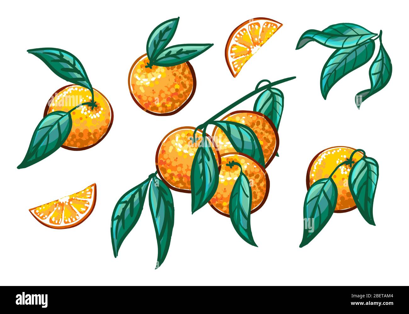 Collezione di rami arancioni su fondo bianco. Corona di frutta, fette di arancia Set vettoriale. Illustrazione Vettoriale