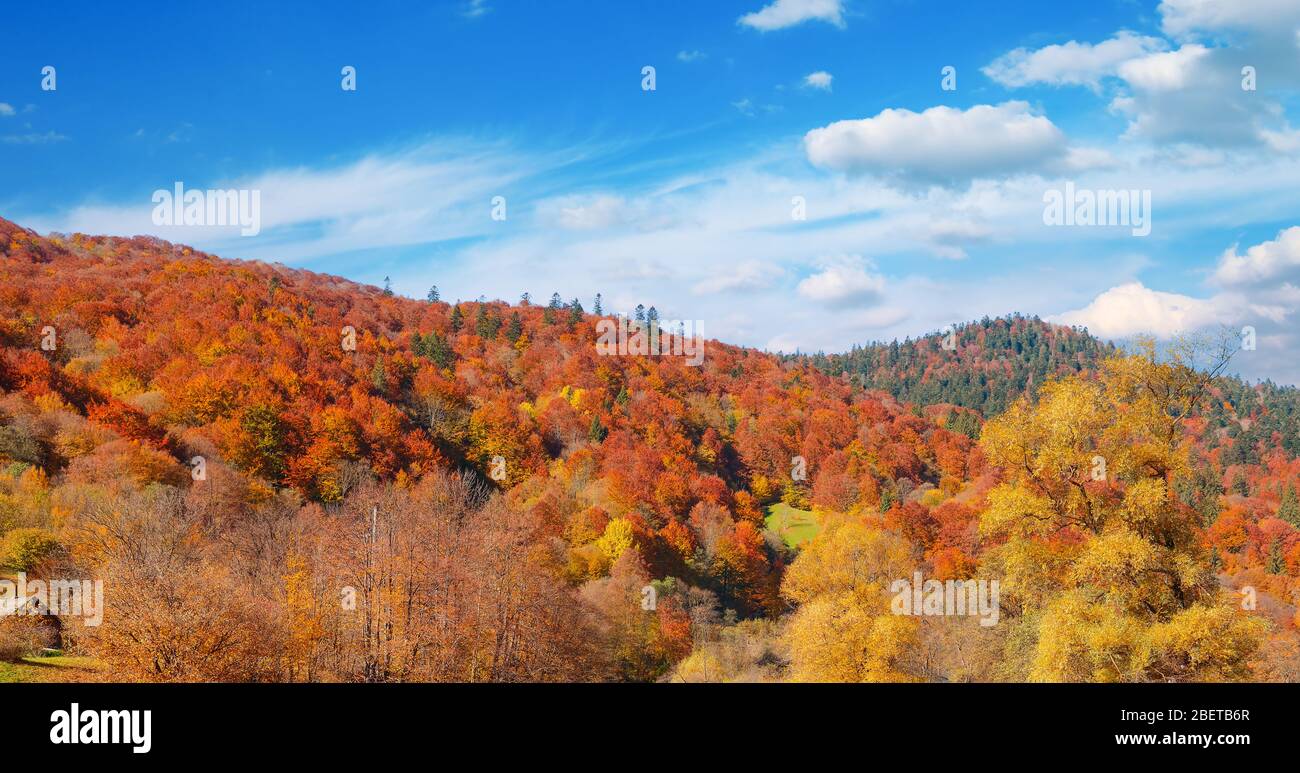 Panoramica autunno paesaggio valle fiume montagna. Foto Stock