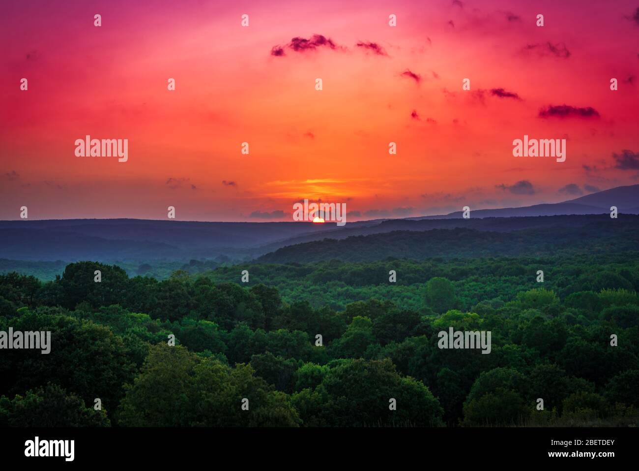 Vista mozzafiato del sole che tramonta sul mite abete degli alberi nella riserva naturale di Strandzha, vicino a Sinemorets, Bulgaria Foto Stock