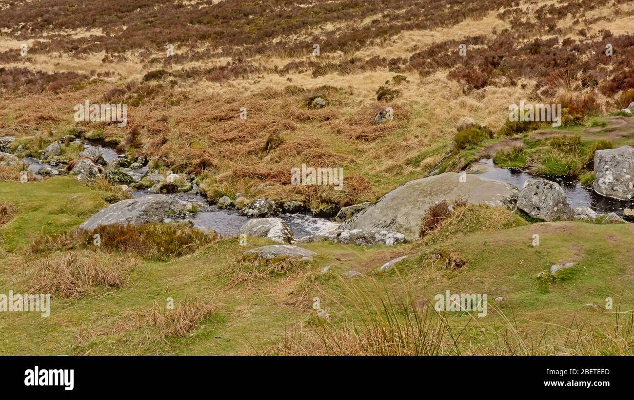 Creek e rocce in brughiera in montagna di Wicklow. Foto Stock