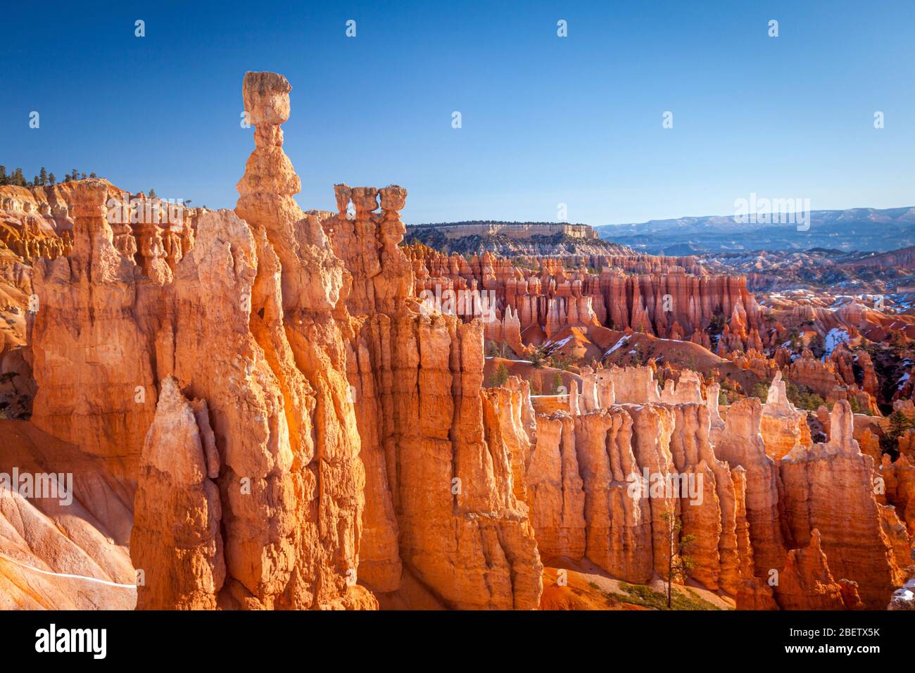 Formazione di roccia di Thor's Hammer da Sunset Point, Bryce Canyon National Park, Utah USA Foto Stock