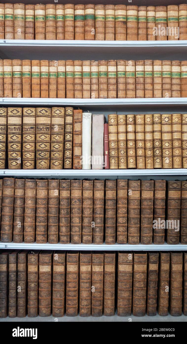 HISTORIISCHE BÜCHER . BIBLIOTHEK / LIBRI STORICI . BIBLIOTECA Foto Stock