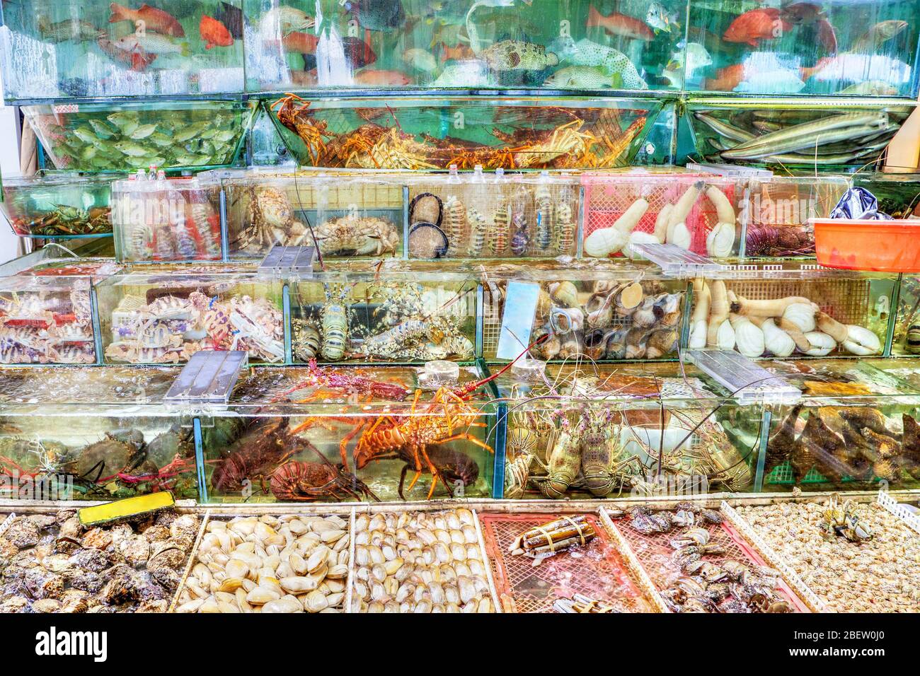Pesci, aragoste, granchi e altri molluschi sono ammassati in vasche di pesce al mercato ittico di Sai Kung, Hong Kong. Il villaggio di Sai Kung è famoso per Foto Stock