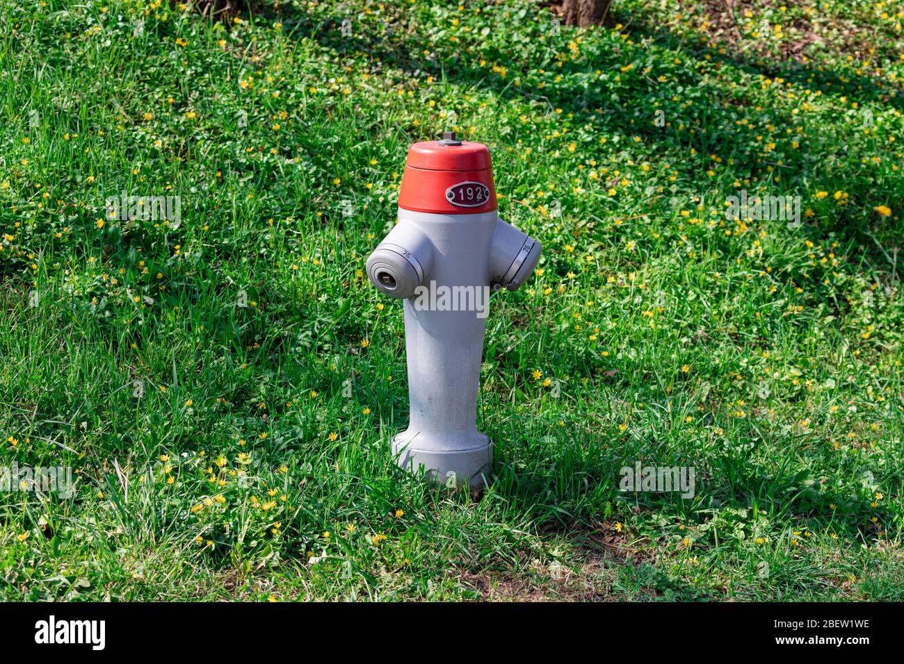 un solo idrante rosso fuoco argento con numero 192 su un prato verde primavera e fiori gialli, di giorno Foto Stock