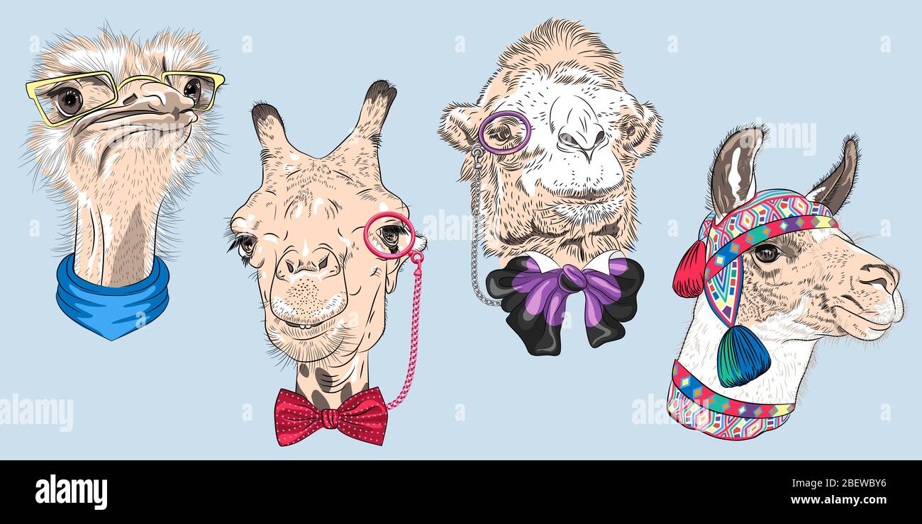 Set di animali da hipster. Struzzo uccello in occhiali e sciarpa gialli, Giraffe e cammello in occhiali e bowtie, Alpaca in cappellino a maglia peruviana Illustrazione Vettoriale