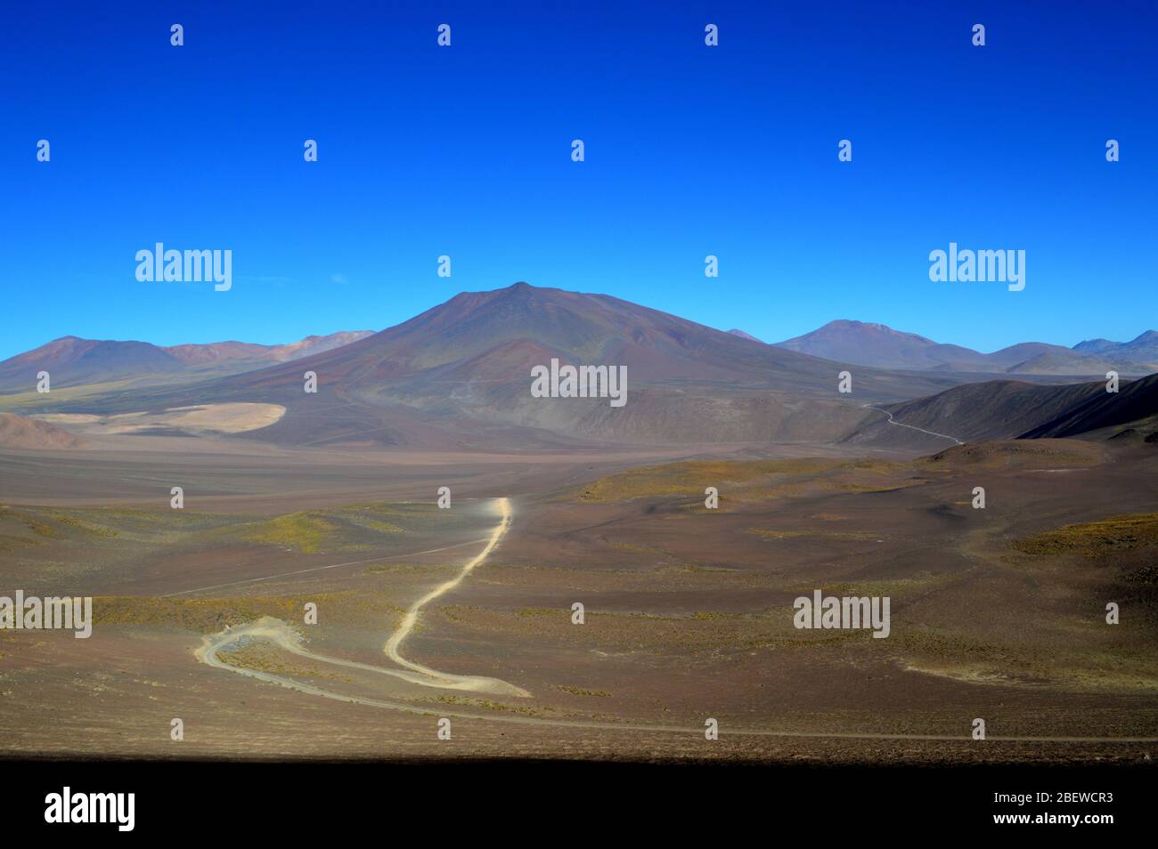 Strada per il confine di Socompa negli altopiani di Salta, provincia di Salta, Argentina Foto Stock