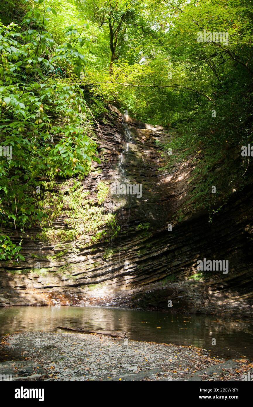 Una piccola cascata di montagna con acqua ghiacciata molto pulita. Gola. Roccia, pietra, acqua, edera. Caucaso, estate, escursione, turismo, vacanze, vacanze, viaggi Foto Stock