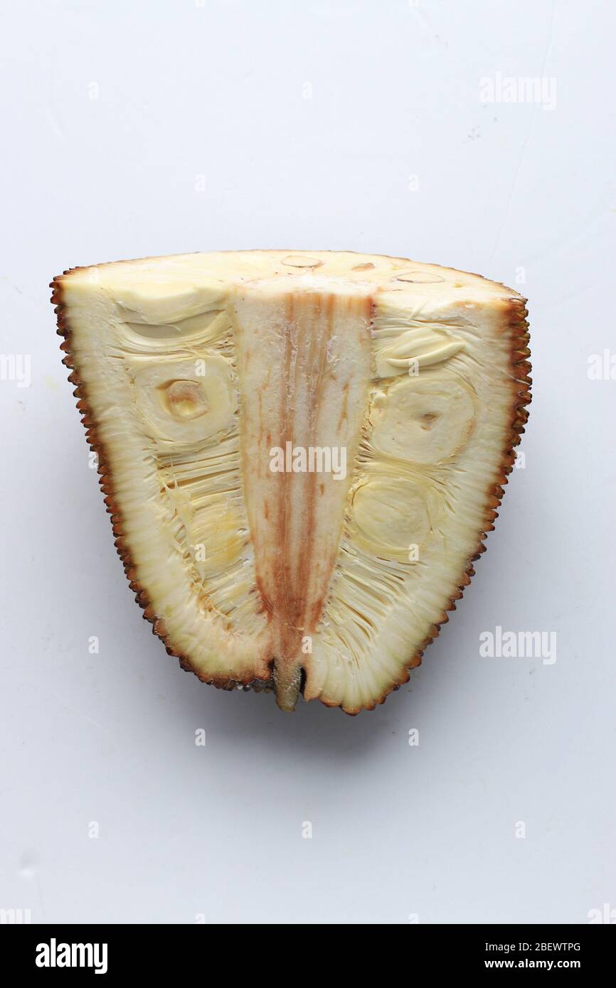Mezzo taglio di jackfruit verde giovane, Artocarpus eterofillus isolato su sfondo bianco Foto Stock