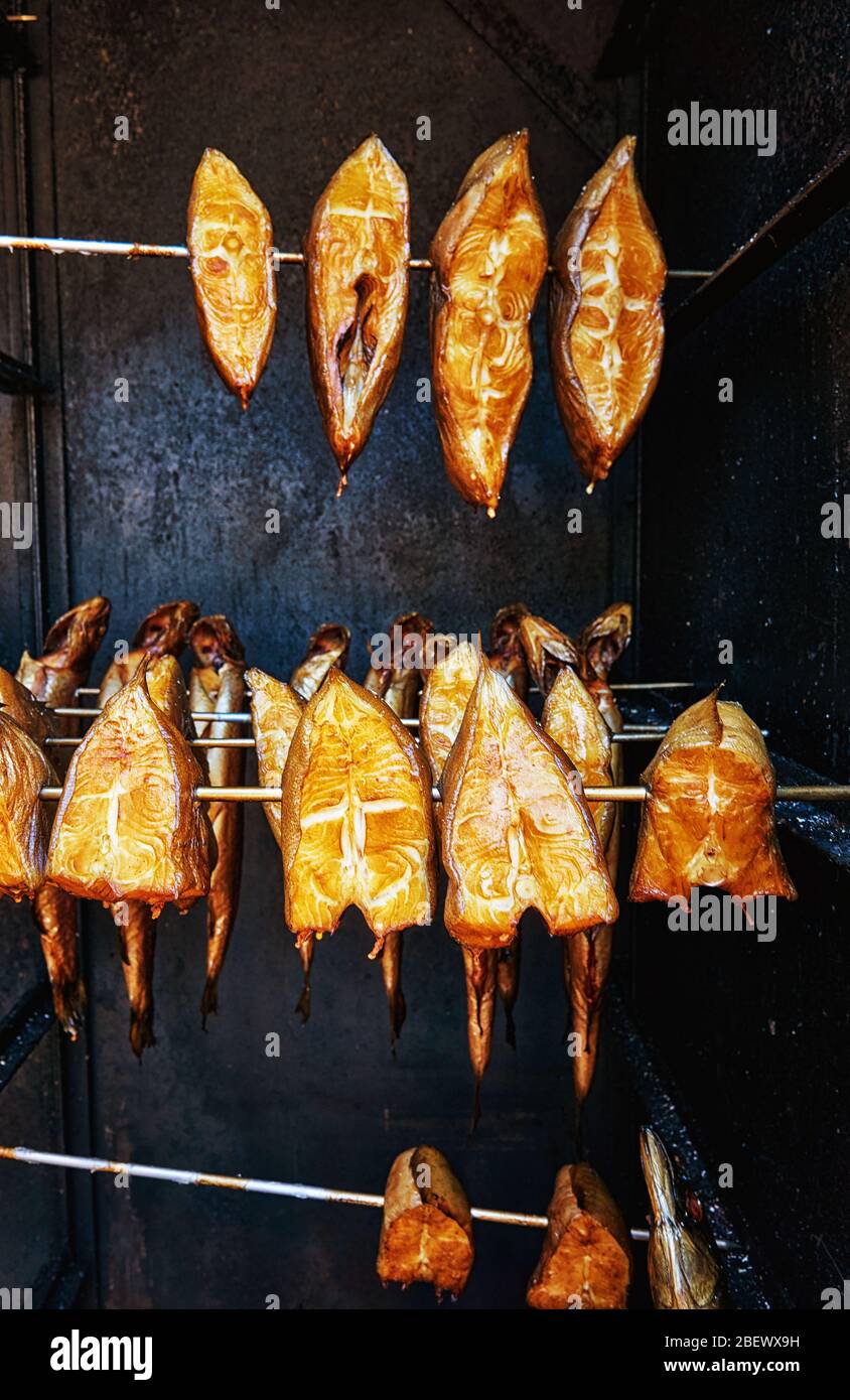 Pesce halibut appena affumicato in un fumatore. Hippoglossus ippoglossus. Foto Stock