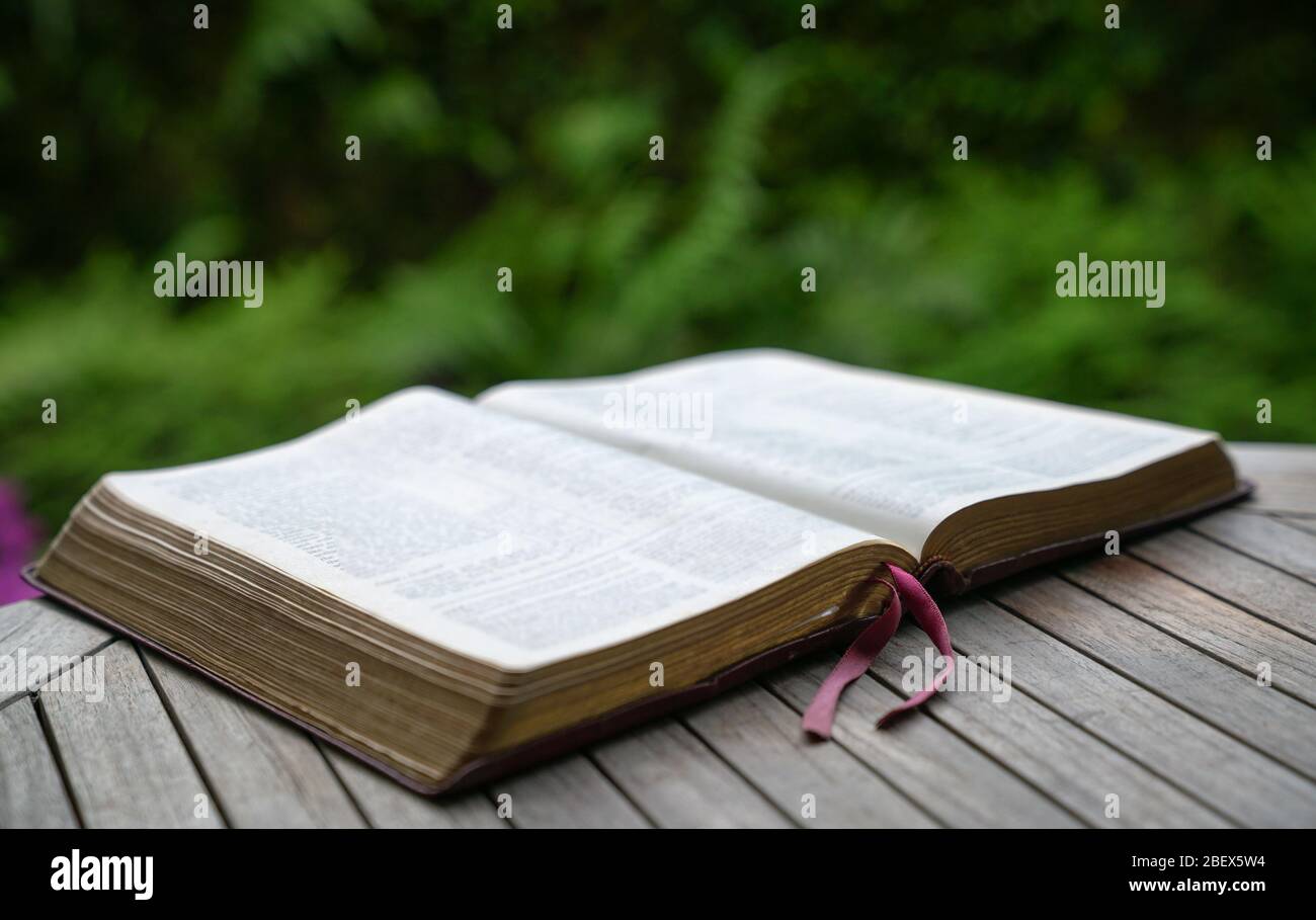 Aprire la bibbia su tavola di legno. Effetto di sfocatura morbida con messa a fuoco sul contrassegno del libro. Natura verde sullo sfondo. Foto Stock