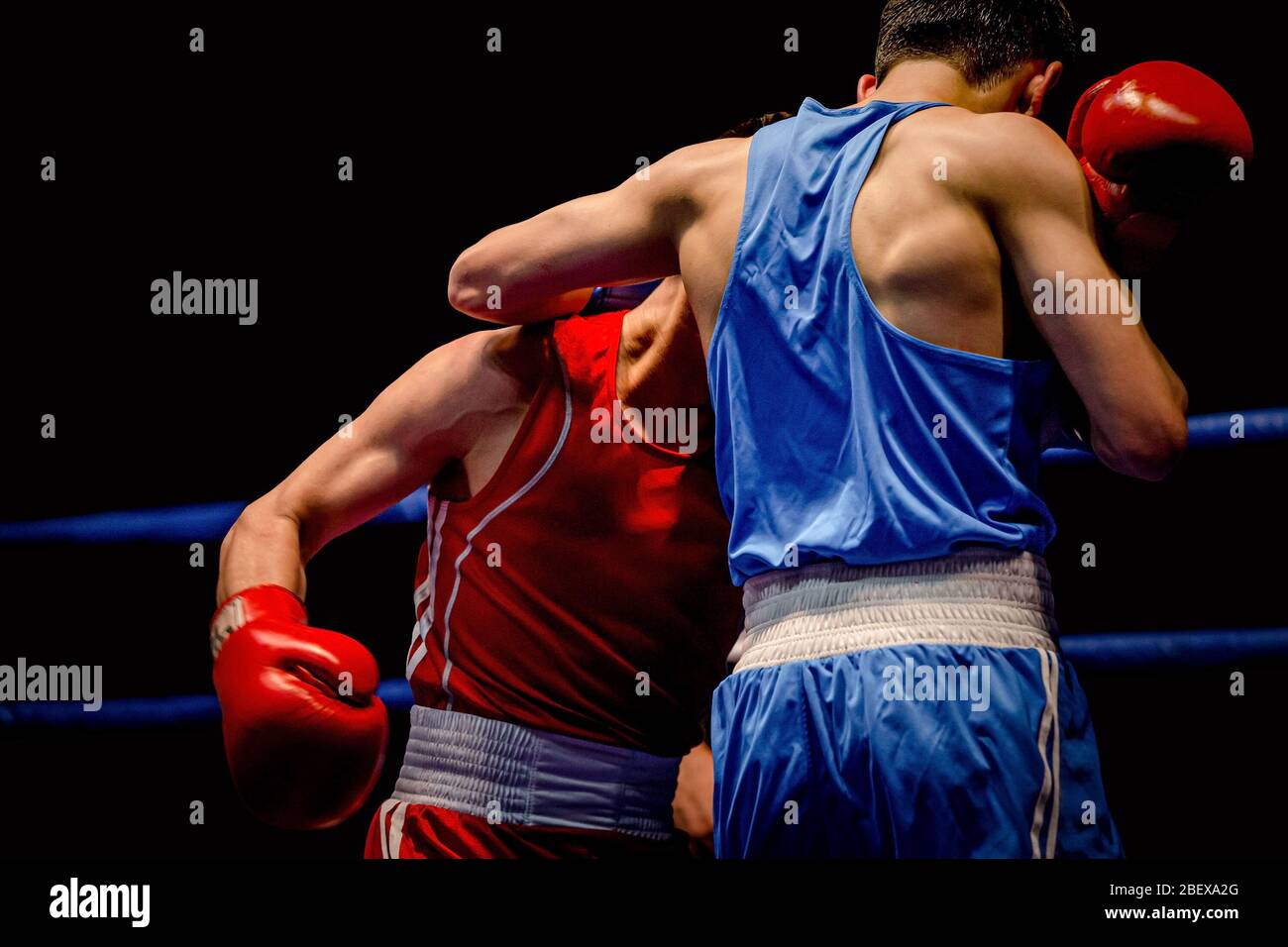 boxe abbina due boxer in anello su sfondo nero Foto Stock