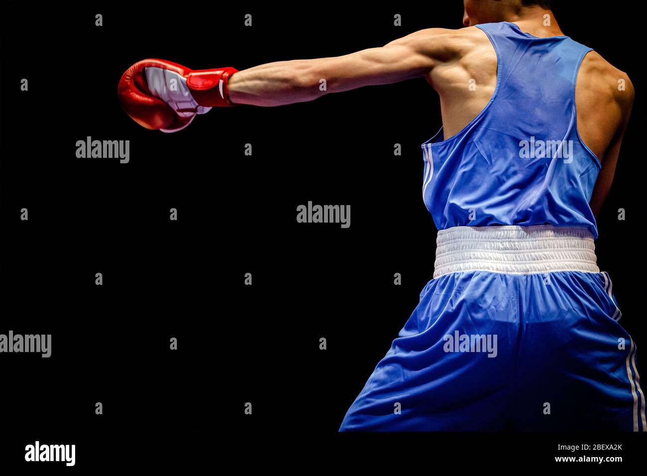 boxer in shorts blu e camicia direttamente colpito su sfondo nero Foto Stock