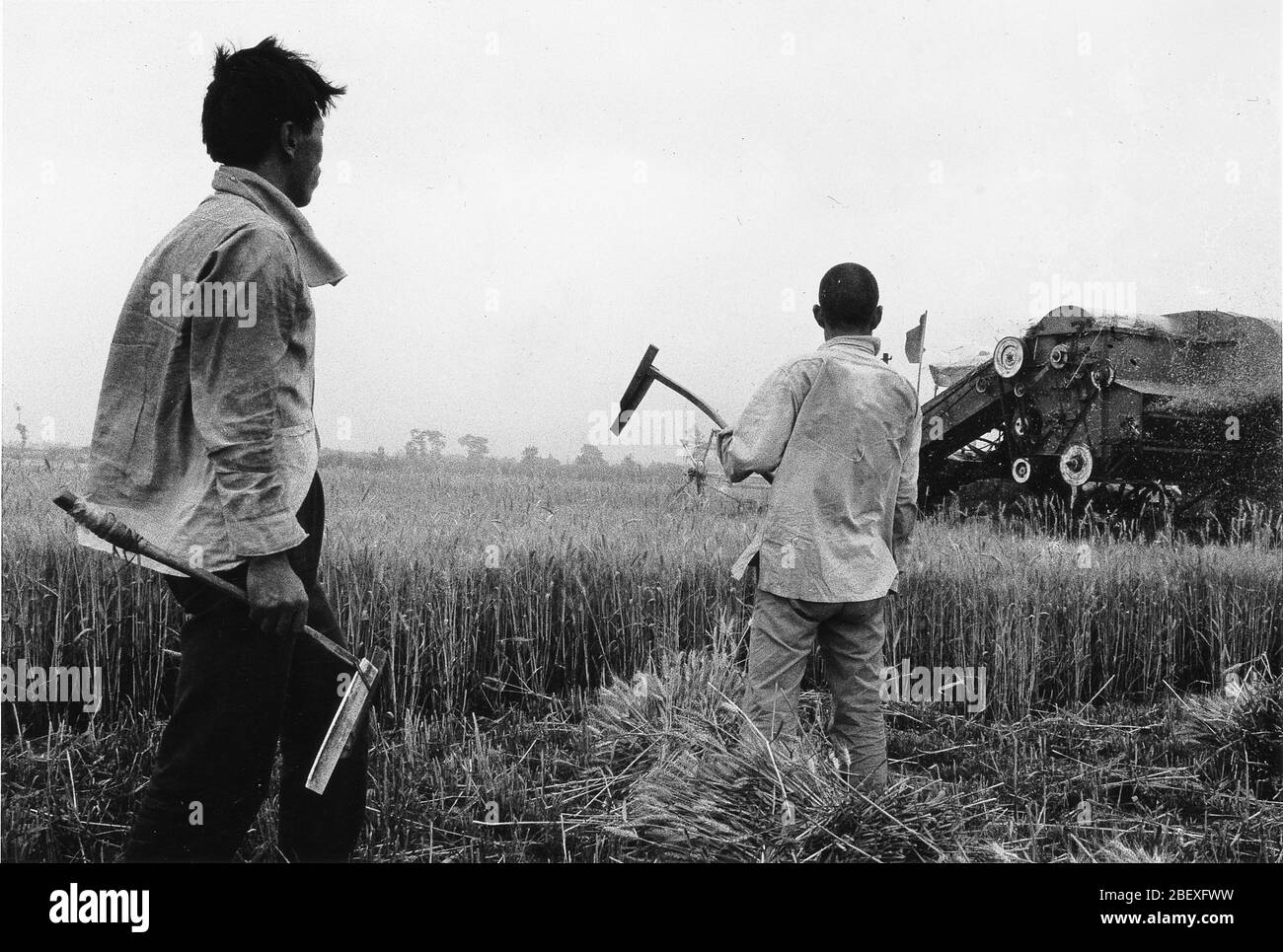 Nel 1997 campi di grano rurale a Guanzhong Shaanxi metodi tradizionali di raccolta del grano e operazioni meccanizzate coesistevano mai KE guardò l'arva Foto Stock