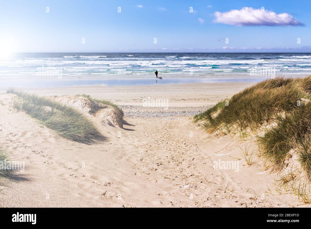 Un singolo Surfer su una spiaggia Lonely Foto Stock