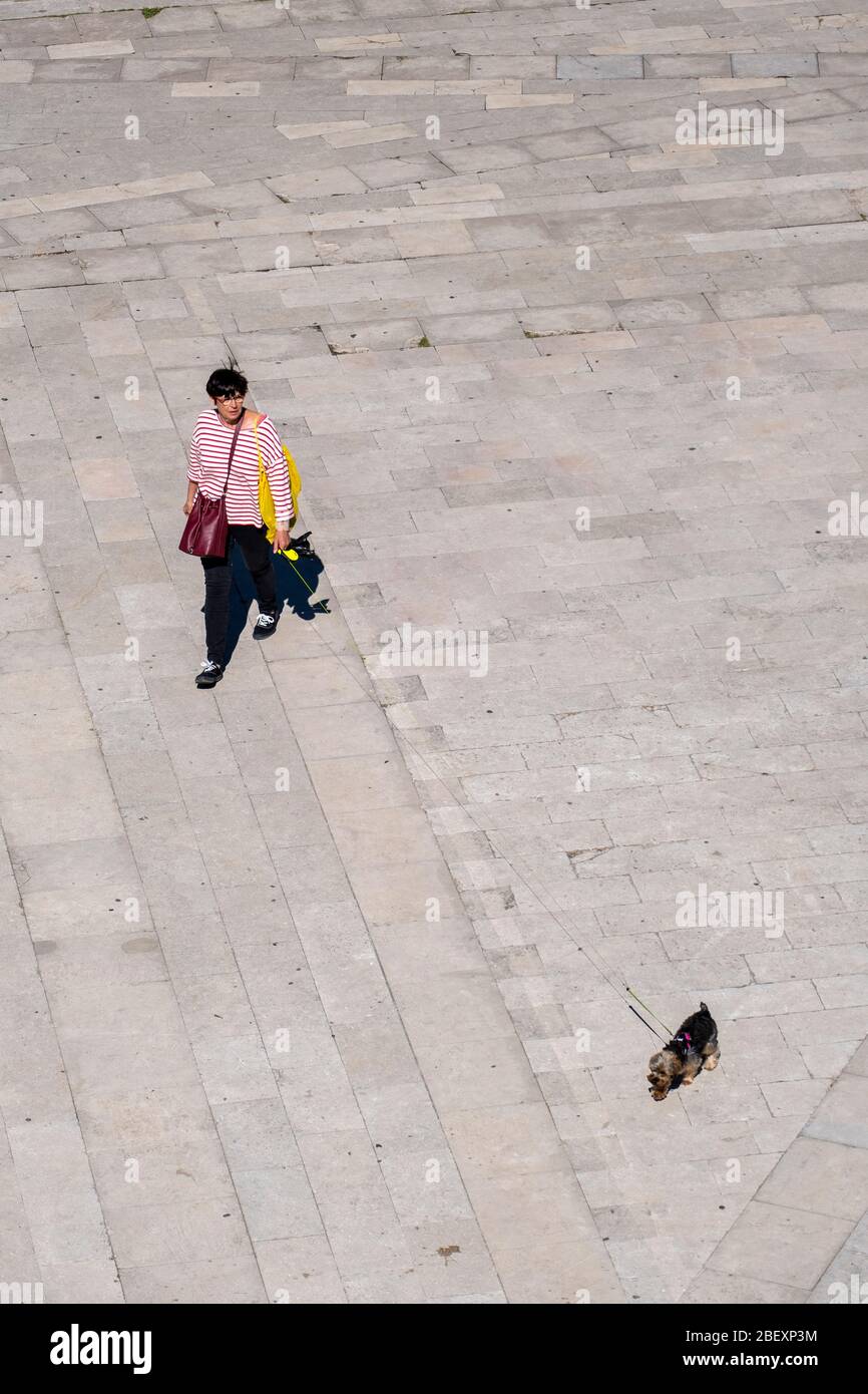 Vista elevata di una donna che cammina il suo cane su un lungo guinzaglio estensibile Foto Stock