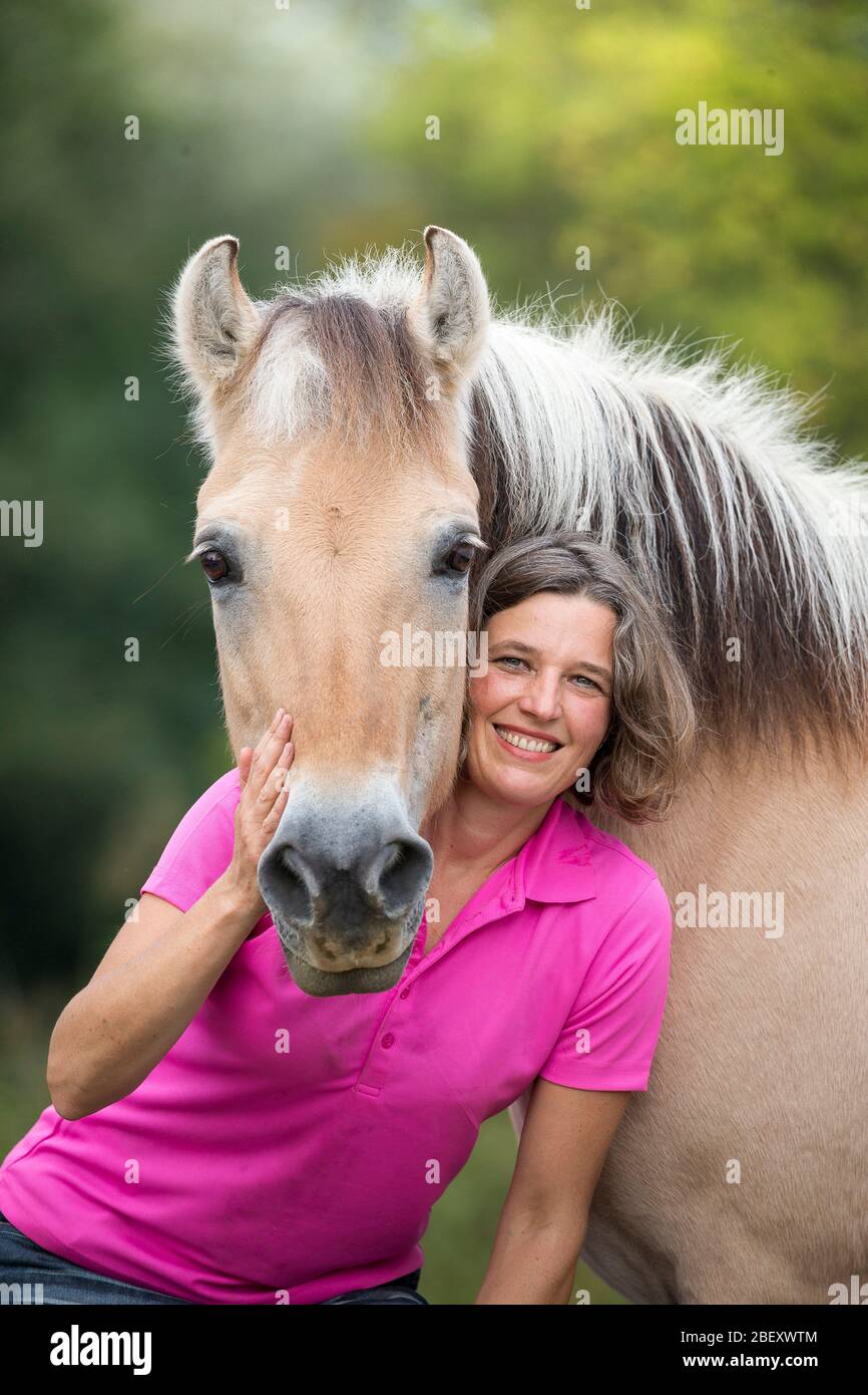 Cavallo fiordo norvegese. Donna che si addolcisce con il Mare senior (28 anni). Germania Foto Stock