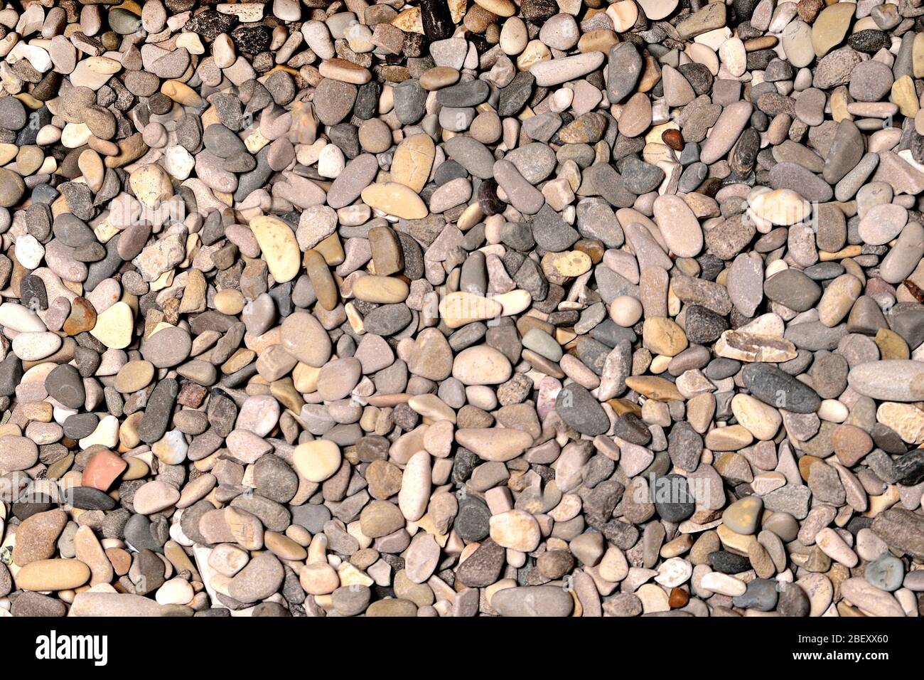 piccole pietre arrotondate grigie di struttura eterogenea, sfondo Foto Stock
