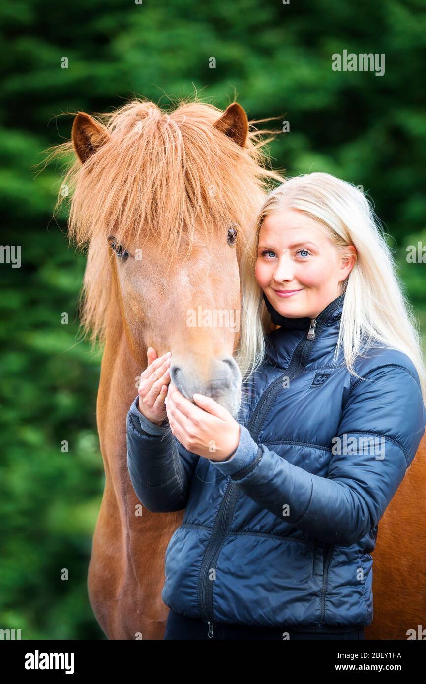 Cavallo islandese. Una giovane donna abbraccia la testa contro la testa di uno stallone adulto. Islanda Foto Stock